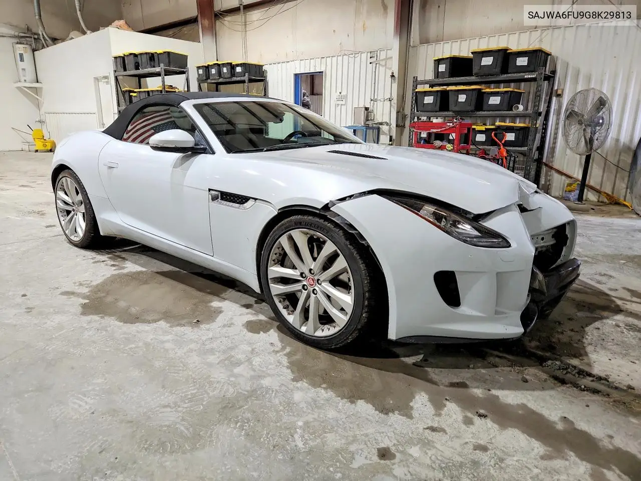 F-Type