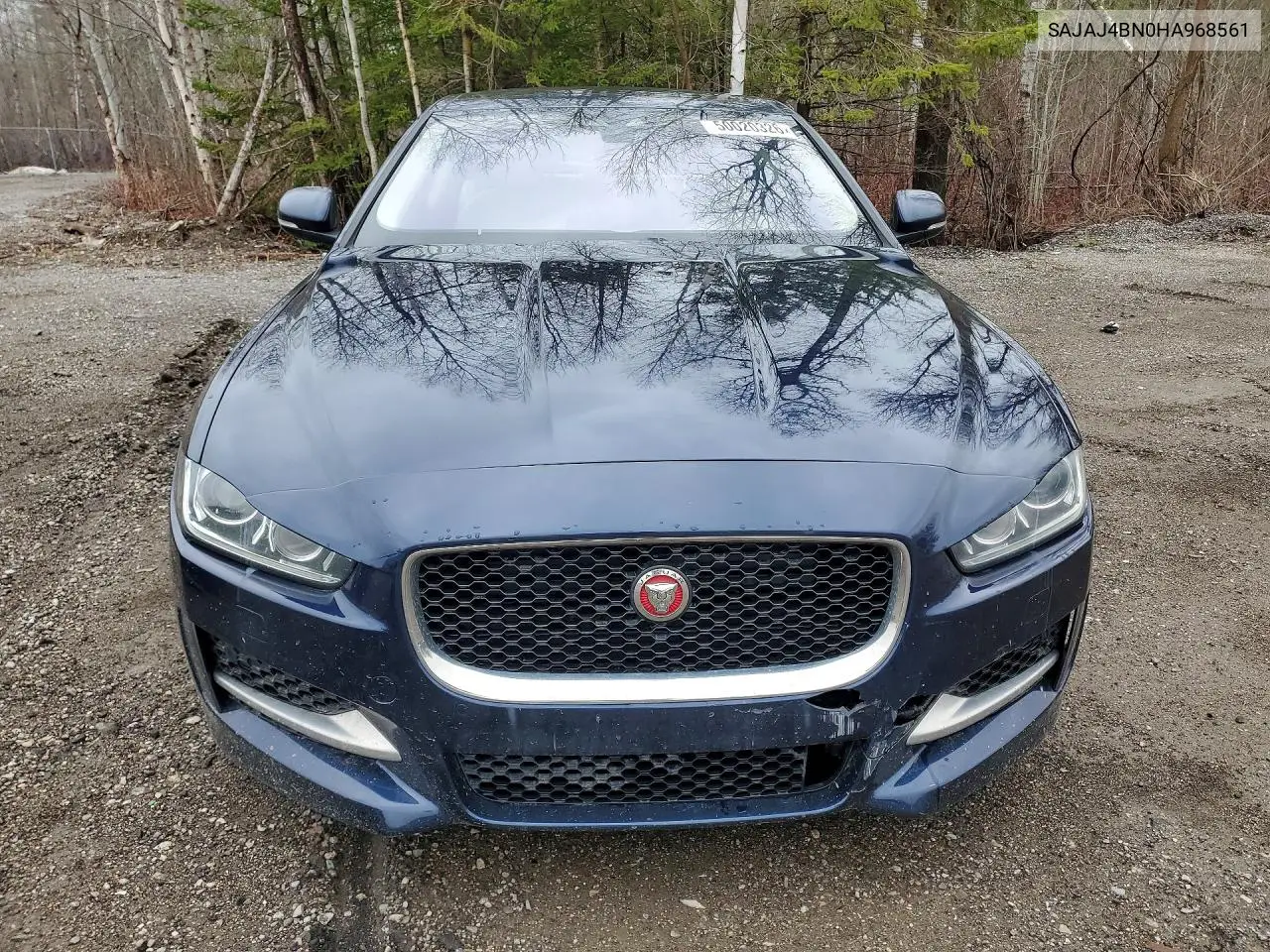 XE