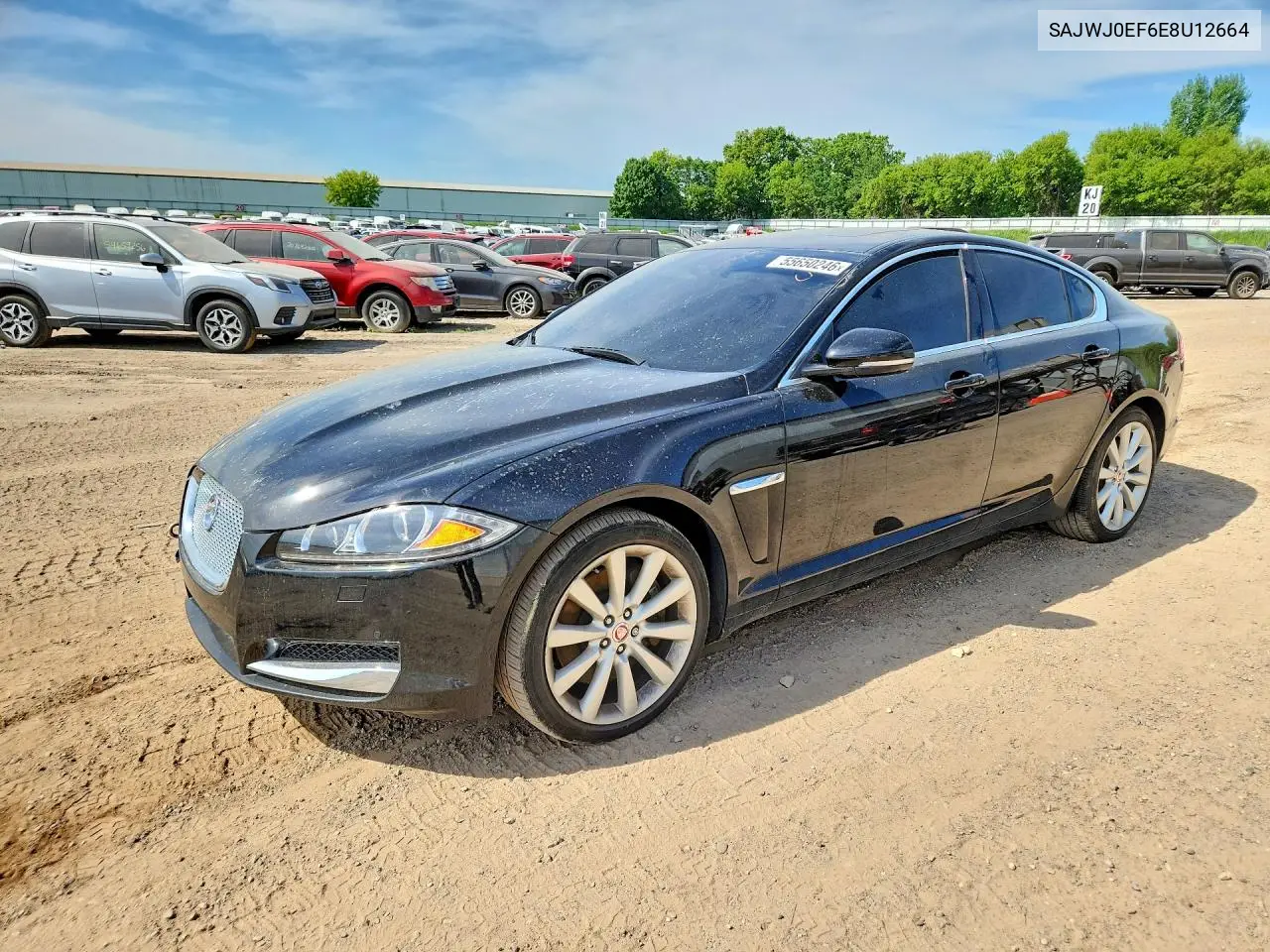 2014 Jaguar Xf VIN: SAJWJ0EF6E8U12664 Lot: 55650246