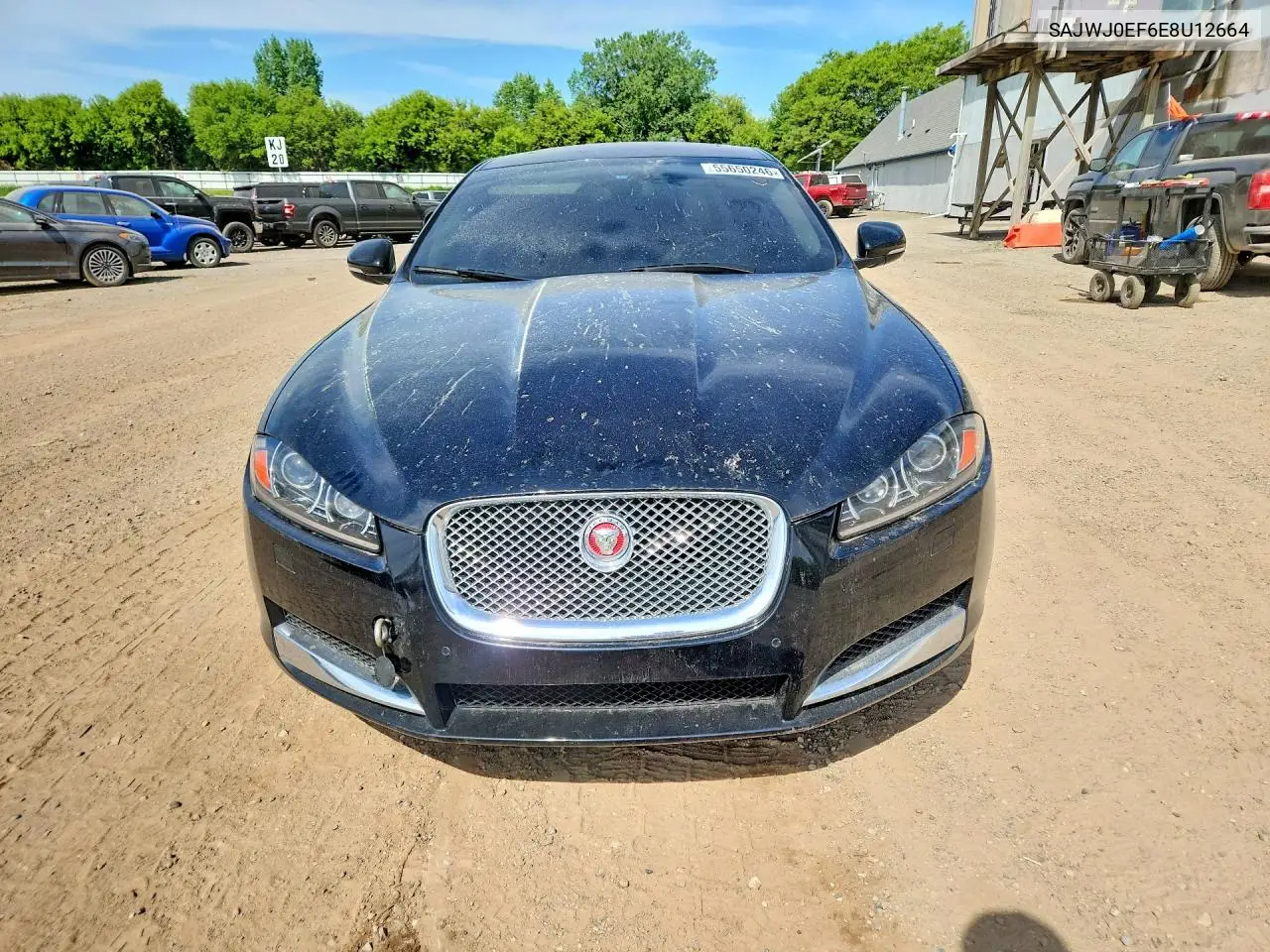 2014 Jaguar Xf VIN: SAJWJ0EF6E8U12664 Lot: 55650246