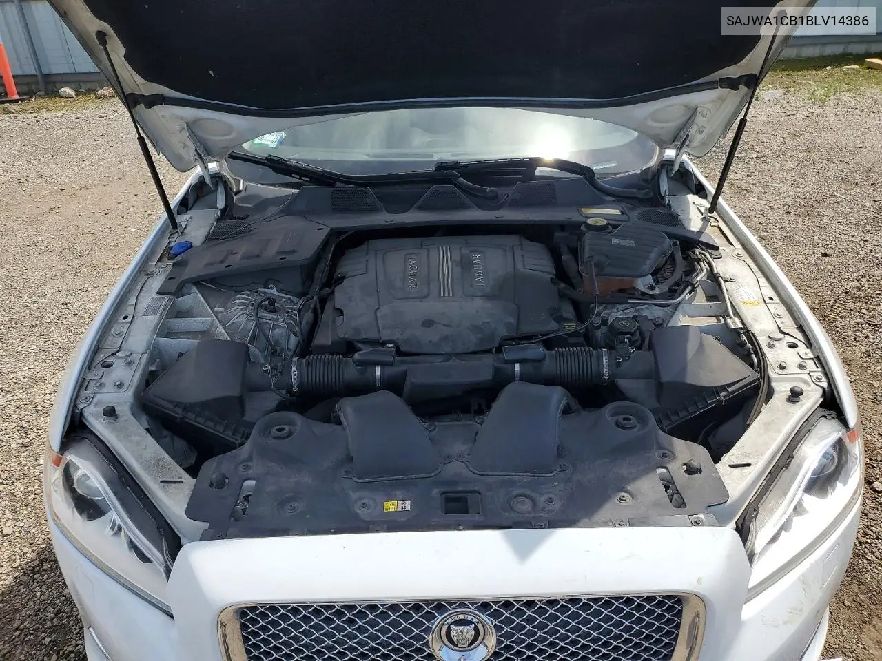 2011 Jaguar Xj VIN: SAJWA1CB1BLV14386 Lot: 54412636