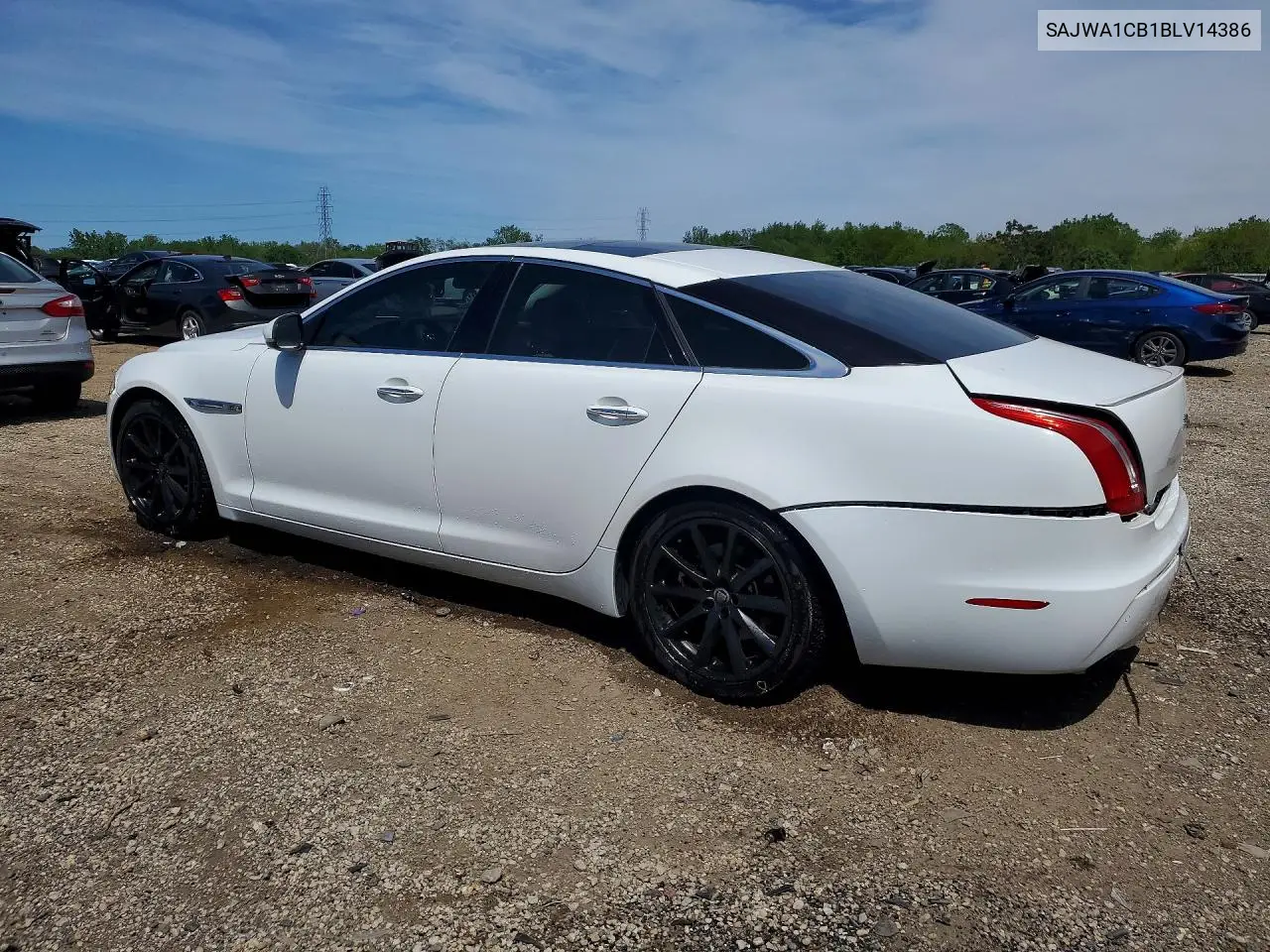 2011 Jaguar Xj VIN: SAJWA1CB1BLV14386 Lot: 54412636