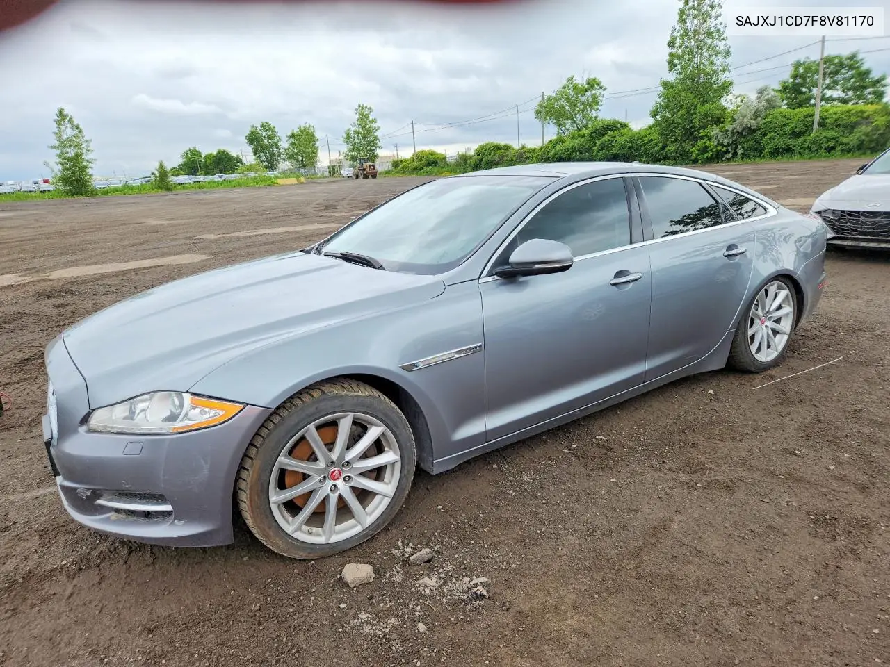 2015 Jaguar Xj VIN: SAJXJ1CD7F8V81170 Lot: 59048646