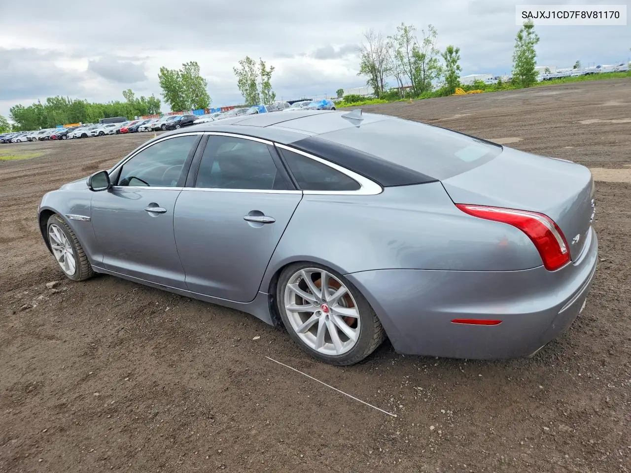 2015 Jaguar Xj VIN: SAJXJ1CD7F8V81170 Lot: 59048646