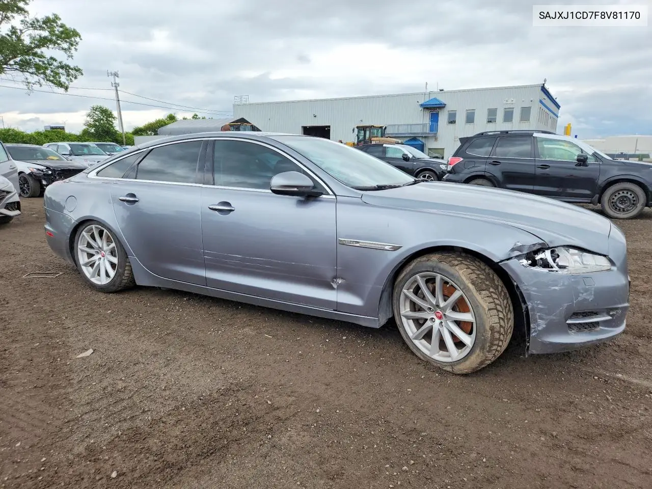 2015 Jaguar Xj VIN: SAJXJ1CD7F8V81170 Lot: 59048646