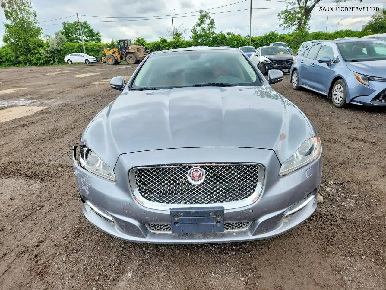 2015 Jaguar Xj VIN: SAJXJ1CD7F8V81170 Lot: 59048646