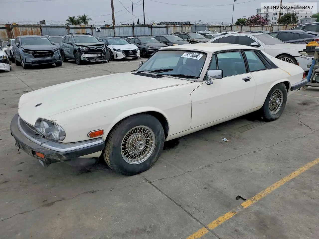 1984 Jaguar Xjs VIN: SAJNV5842EC113497 Lot: 56279856
