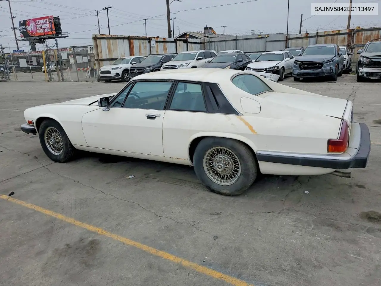 1984 Jaguar Xjs VIN: SAJNV5842EC113497 Lot: 56279856