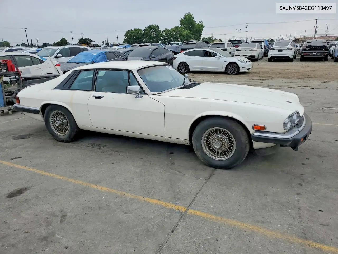 1984 Jaguar Xjs VIN: SAJNV5842EC113497 Lot: 56279856