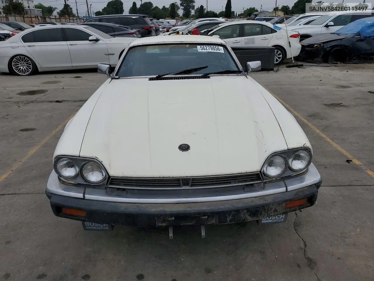 1984 Jaguar Xjs VIN: SAJNV5842EC113497 Lot: 56279856