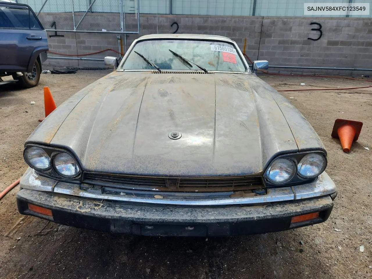 1985 Jaguar Xjs VIN: SAJNV584XFC123549 Lot: 61565186