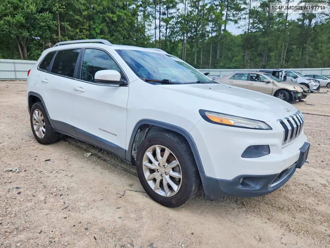 2014 Jeep Cherokee Limited VIN: 1C4PJMDS2EW197711 Lot: 61900196