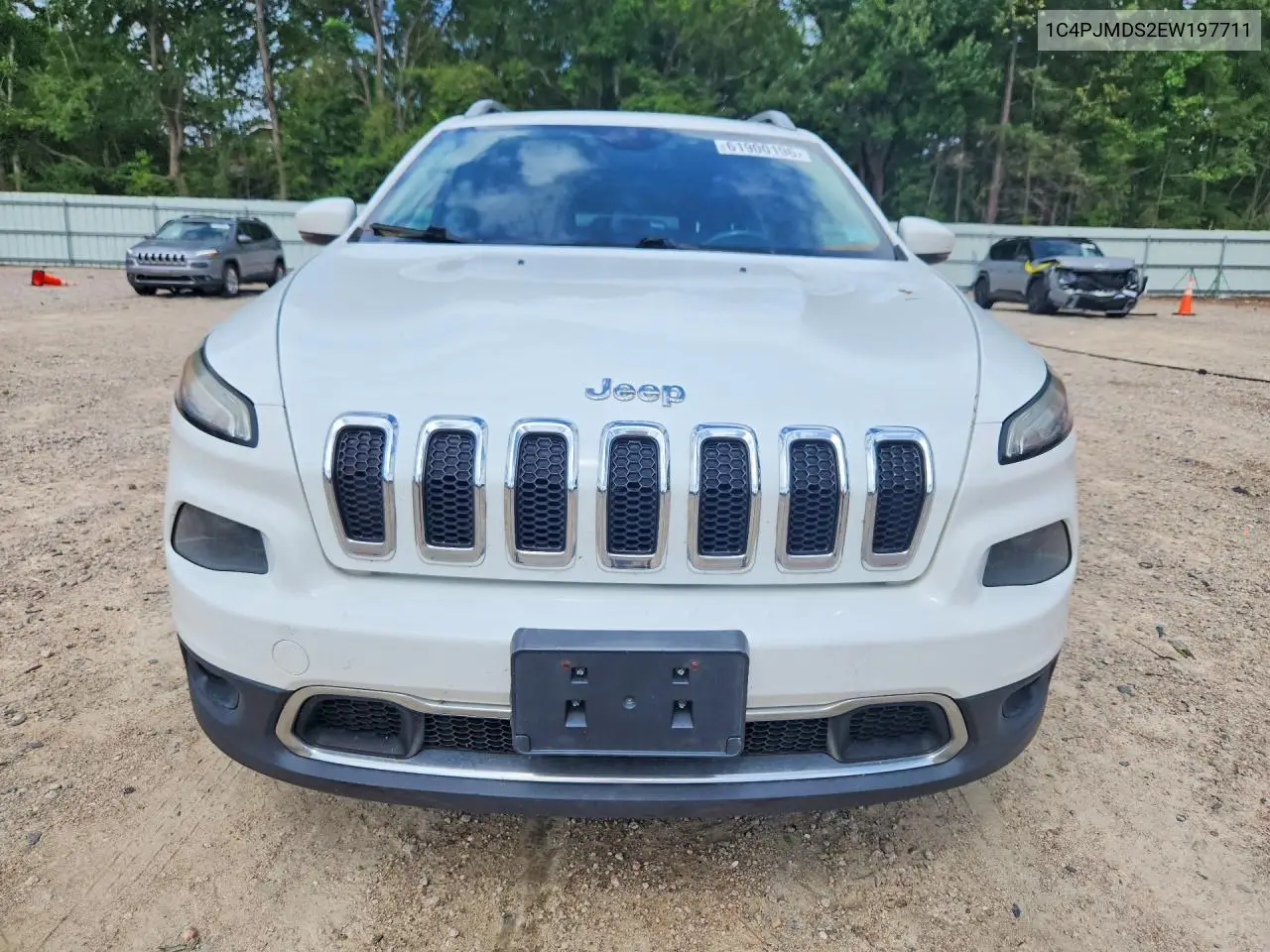 2014 Jeep Cherokee Limited VIN: 1C4PJMDS2EW197711 Lot: 61900196