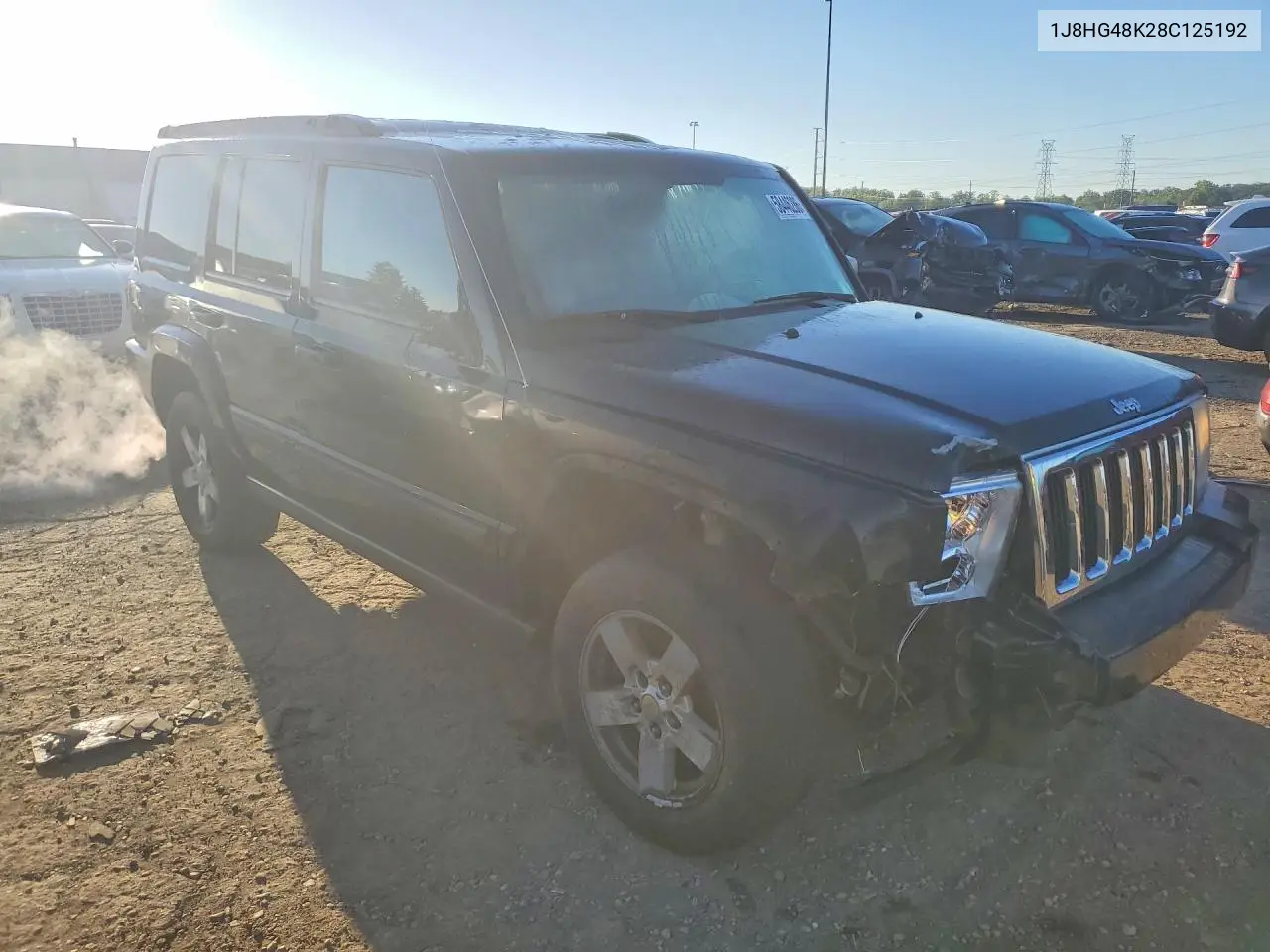 2008 Jeep Commander Sport VIN: 1J8HG48K28C125192 Lot: 58446286