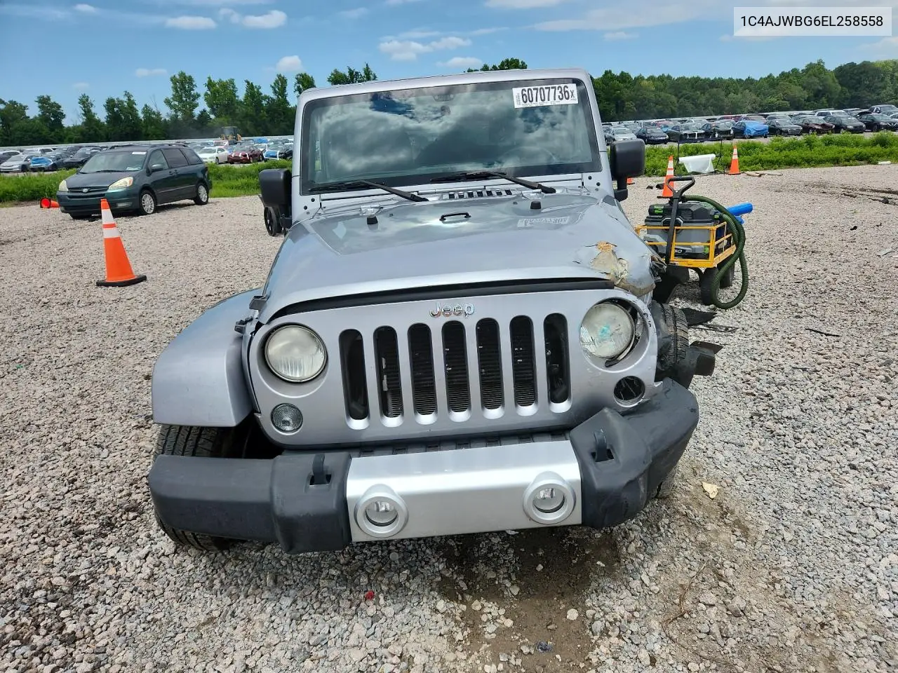 2014 Jeep Wrangler Sahara VIN: 1C4AJWBG6EL258558 Lot: 60707736