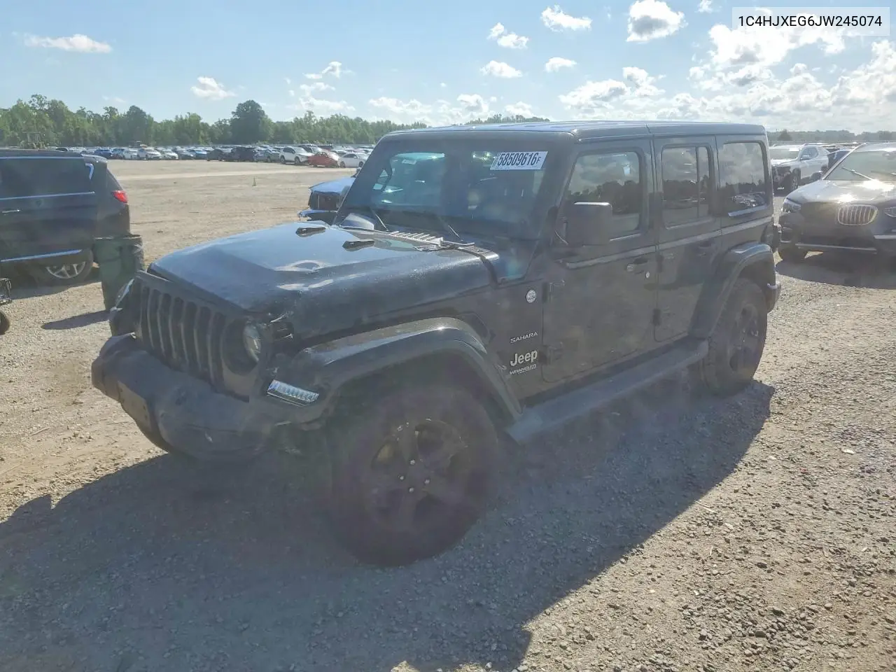 2018 Jeep Wrangler Unlimited Sahara VIN: 1C4HJXEG6JW245074 Lot: 58509616