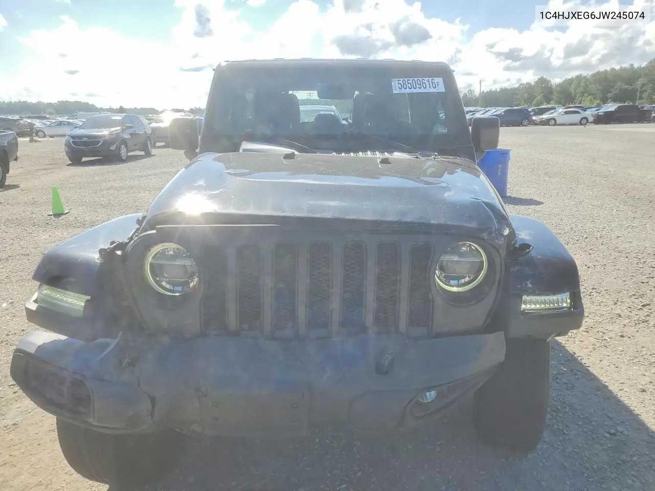 2018 Jeep Wrangler Unlimited Sahara VIN: 1C4HJXEG6JW245074 Lot: 58509616