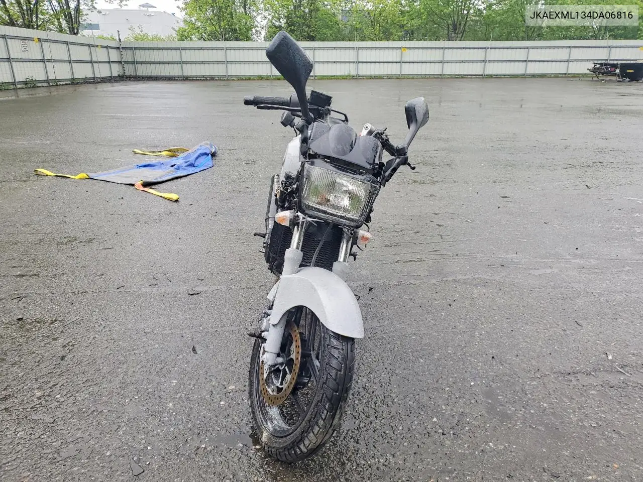 2004 Kawasaki Ex250 F VIN: JKAEXMF134DA06816 Lot: 53616676