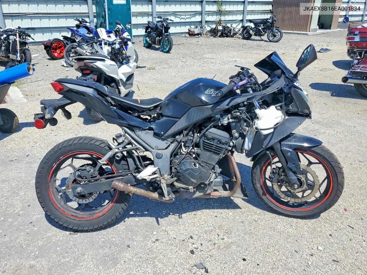 2014 Kawasaki Ex300 B VIN: JKAEX8B16EA001834 Lot: 52804226