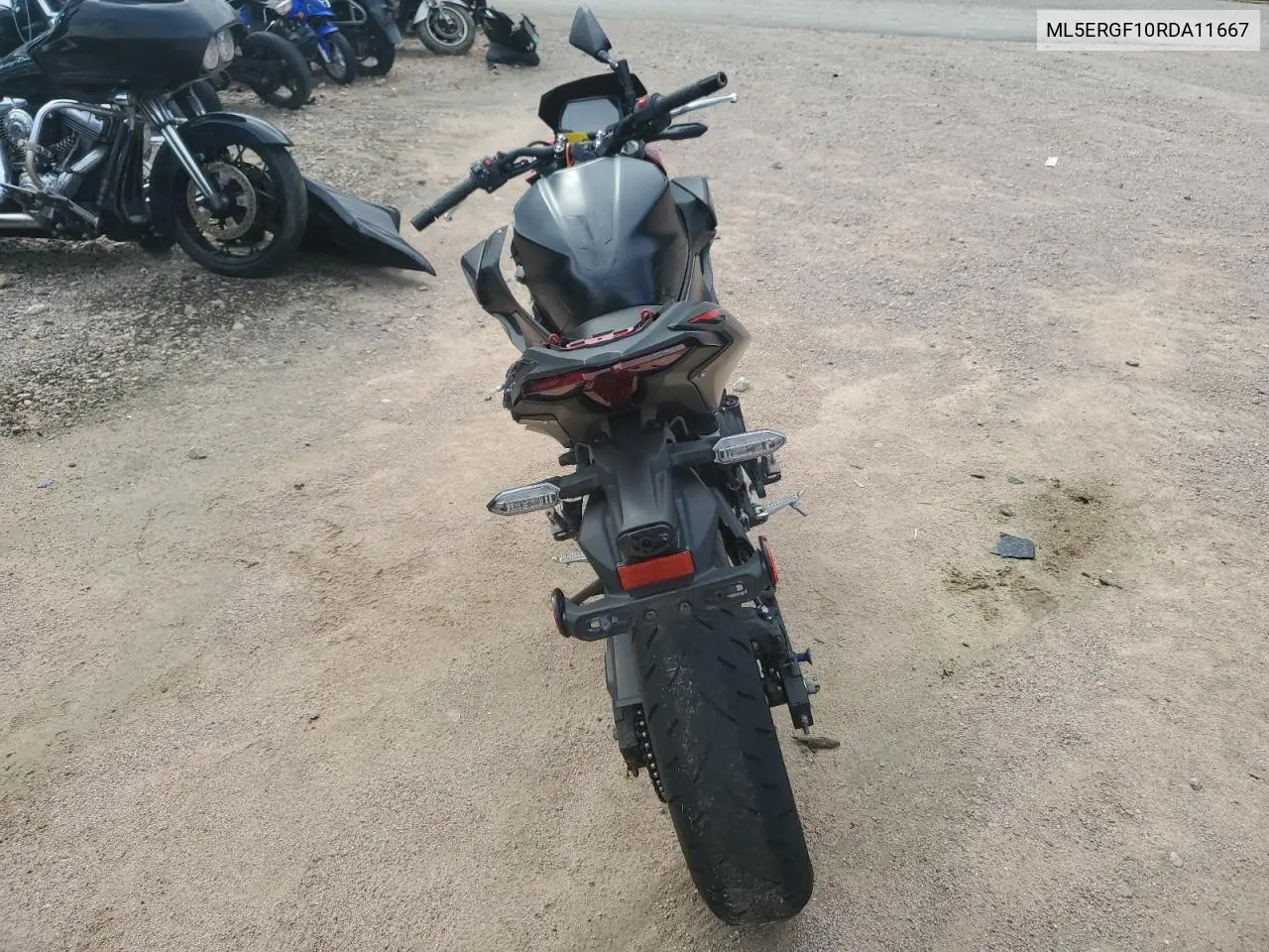 2024 Kawasaki Er500 VIN: ML5ERGF10RDA11667 Lot: 81821725