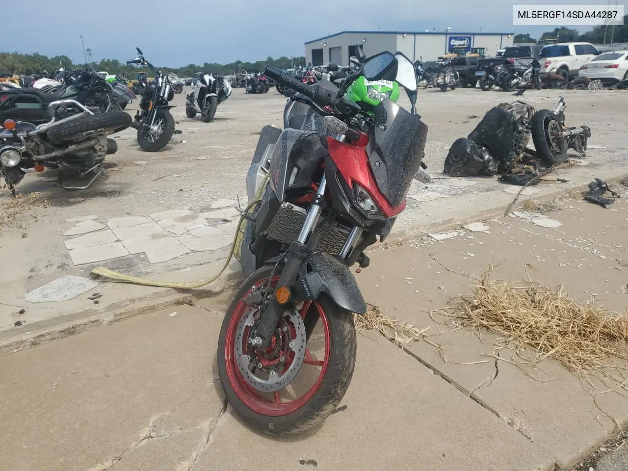 2025 Kawasaki Er500 VIN: ML5ERGF14SDA44287 Lot: 80914105