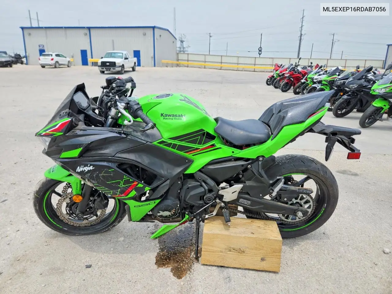 2024 Kawasaki Ex650 P VIN: ML5EXEP16RDAB7056 Lot: 52381576