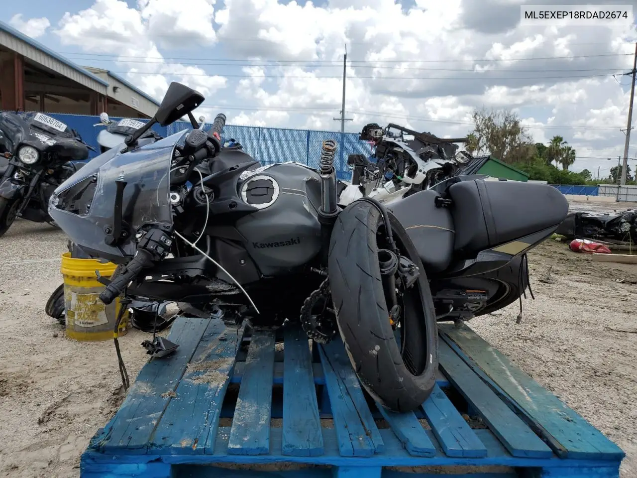 2024 Kawasaki Ex650 P VIN: ML5EXEP18RDAD2674 Lot: 75158135