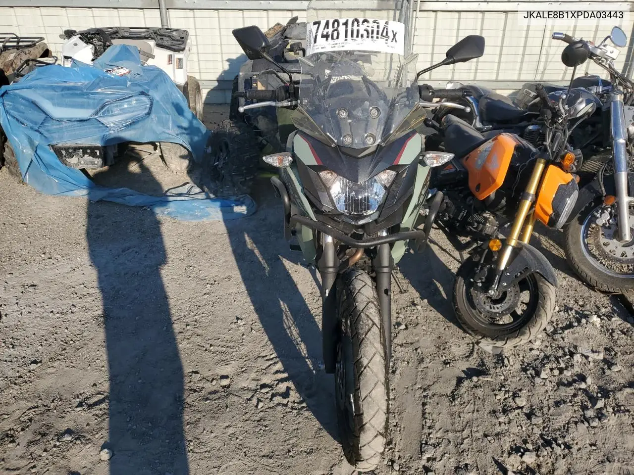2023 Kawasaki Kle300 B VIN: JKALE8B1XPDA03443 Lot: 70555545