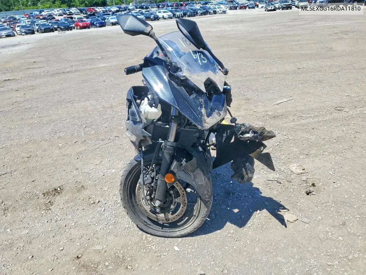 2024 Kawasaki Ex500 VIN: ML5EXGG16RDA11810 Lot: 53084786