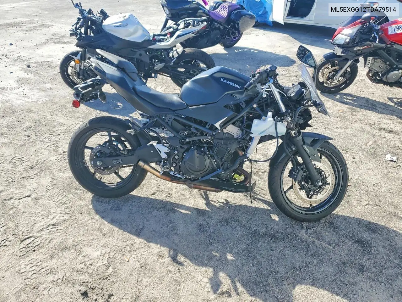 2026 Kawasaki Ex500 VIN: ML5EXGG12TDA79514 Lot: 79994765