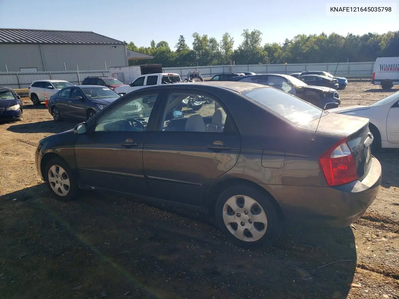 2004 Kia Spectra Lx VIN: KNAFE121645035798 Lot: 52946146