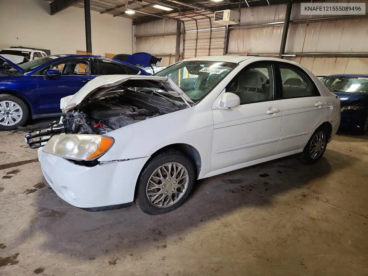 2005 Kia Spectra Lx/Ex VIN: KNAFE121555089496 Lot: 56804366