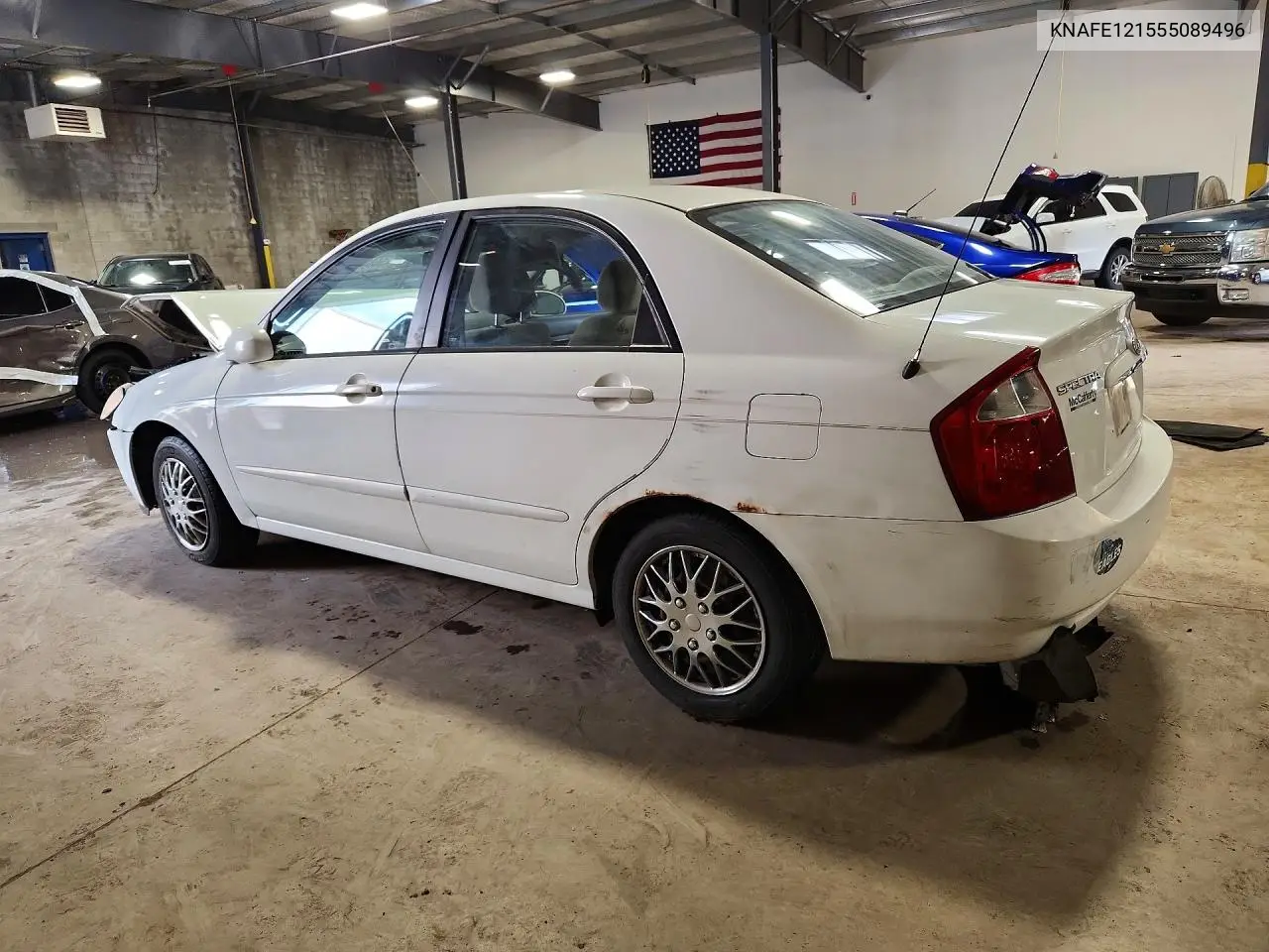 2005 Kia Spectra Lx/Ex VIN: KNAFE121555089496 Lot: 56804366