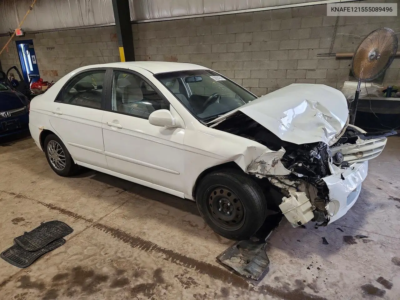2005 Kia Spectra Lx/Ex VIN: KNAFE121555089496 Lot: 56804366
