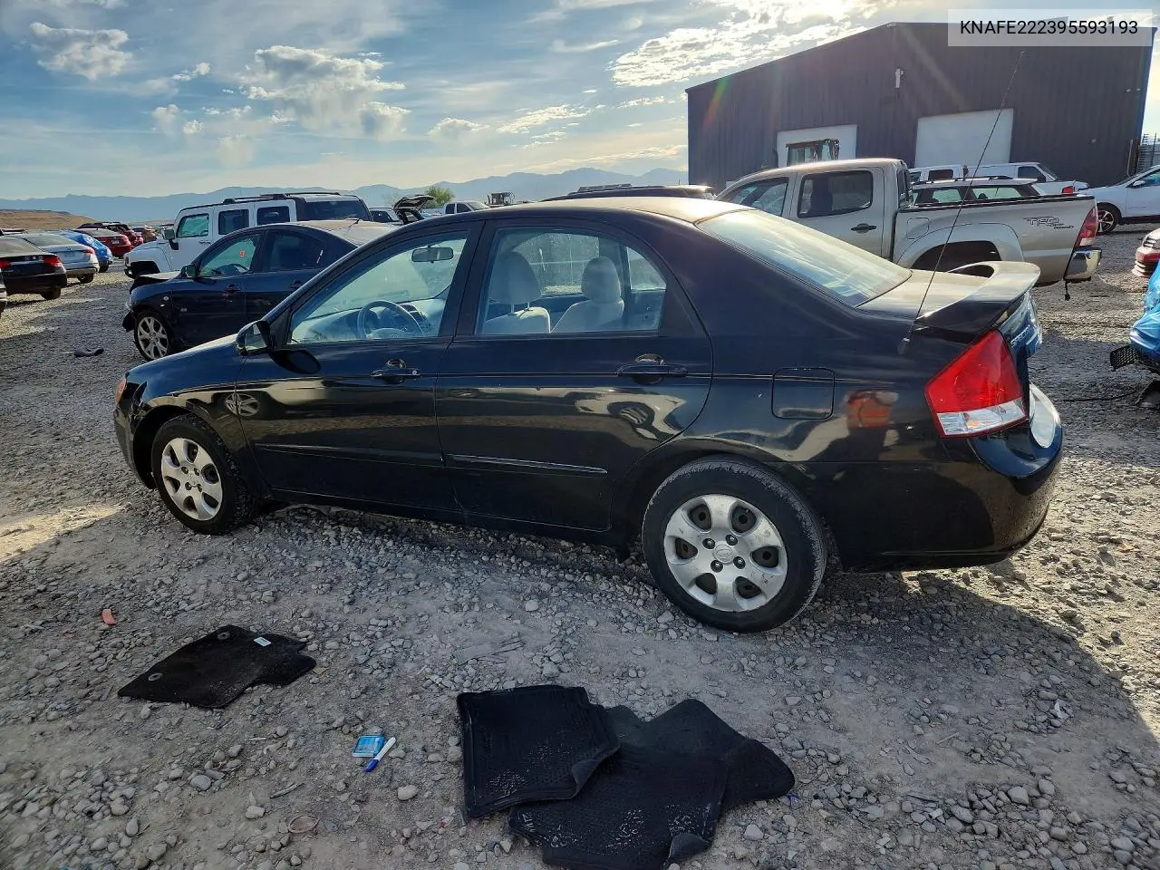 2009 Kia Spectra Lx VIN: KNAFE222395593193 Lot: 55015196