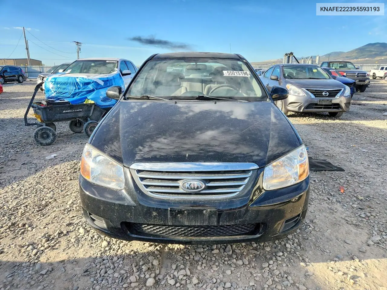 2009 Kia Spectra Lx VIN: KNAFE222395593193 Lot: 55015196