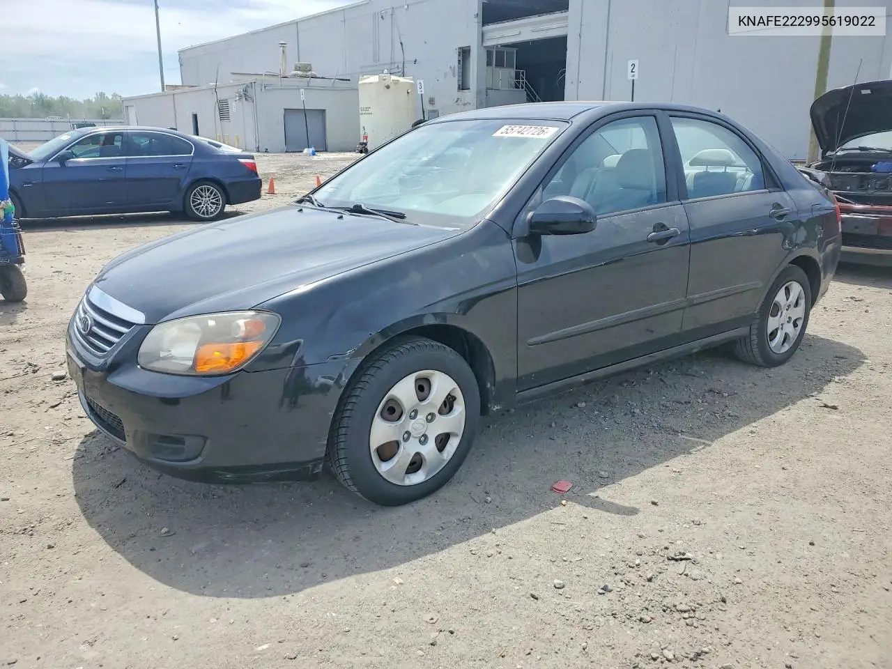 2009 Kia Spectra Lx VIN: KNAFE222995619022 Lot: 55742726