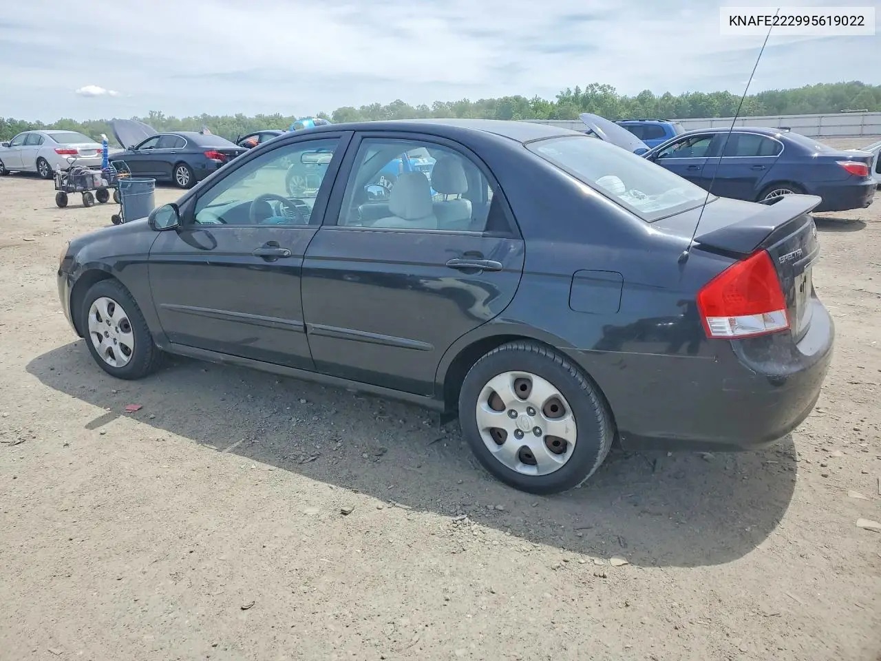 2009 Kia Spectra Lx VIN: KNAFE222995619022 Lot: 55742726