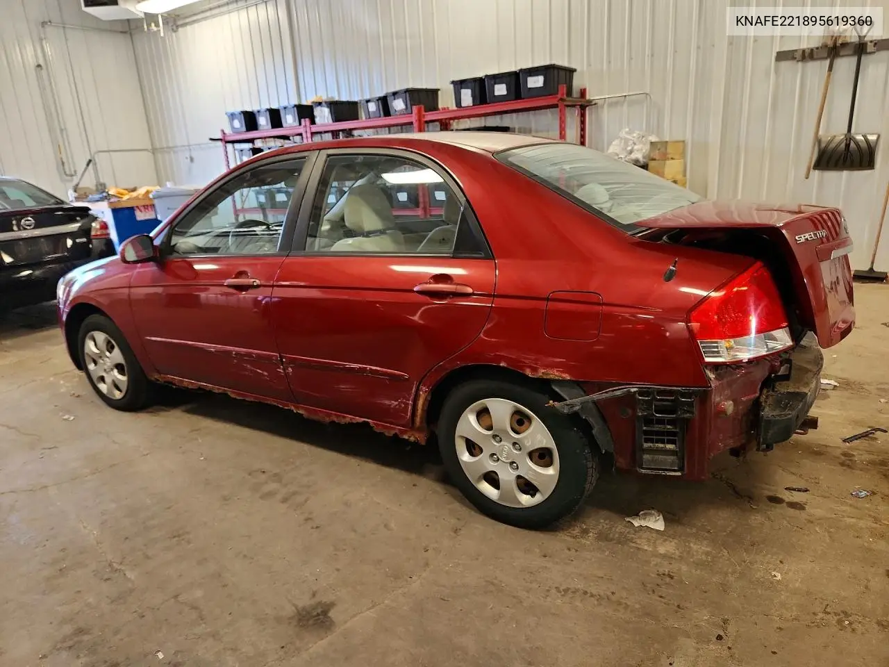 2009 Kia Spectra Lx VIN: KNAFE221895619360 Lot: 58519346