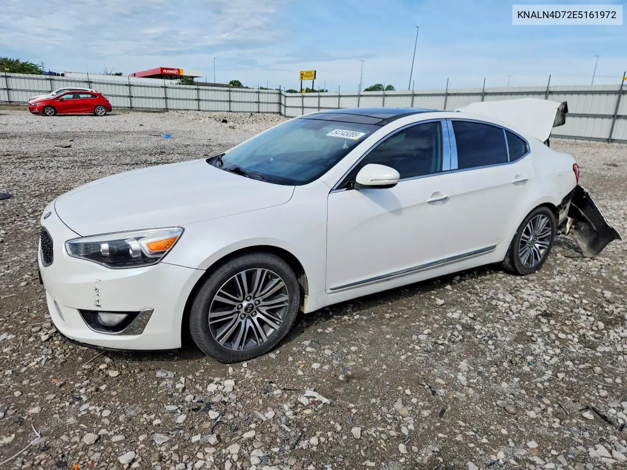 2014 Kia Cadenza Premium VIN: KNALN4D72E5161972 Lot: 54145086