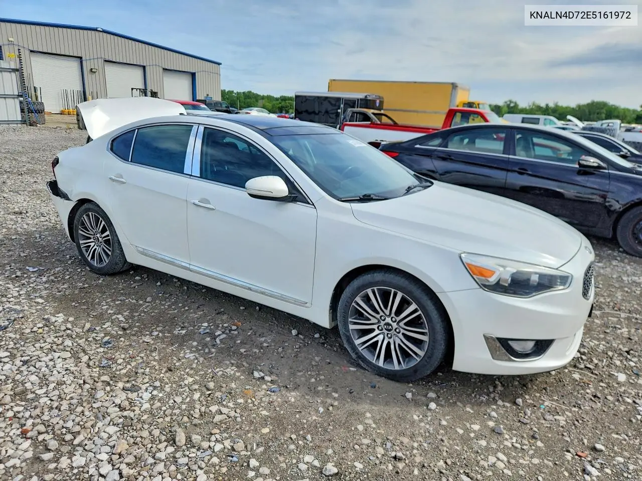 2014 Kia Cadenza Premium VIN: KNALN4D72E5161972 Lot: 54145086