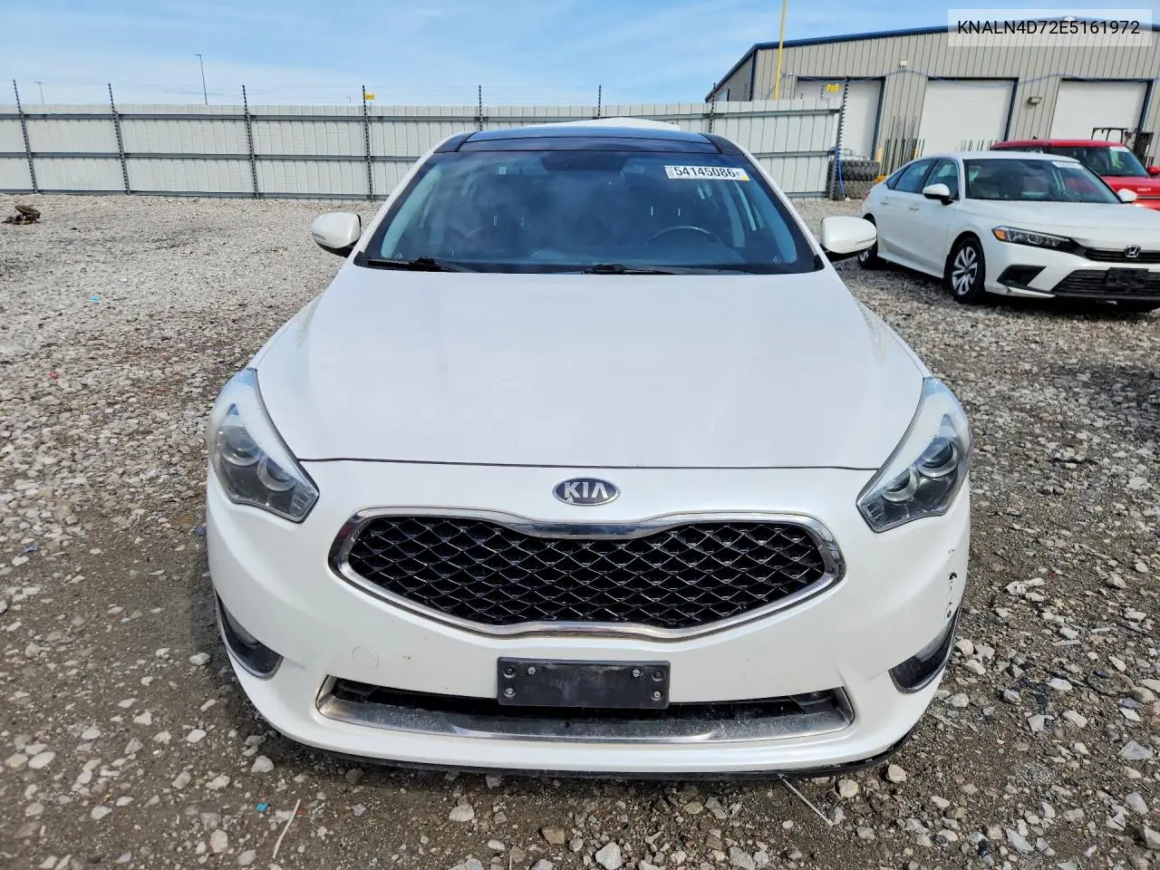 2014 Kia Cadenza Premium VIN: KNALN4D72E5161972 Lot: 54145086