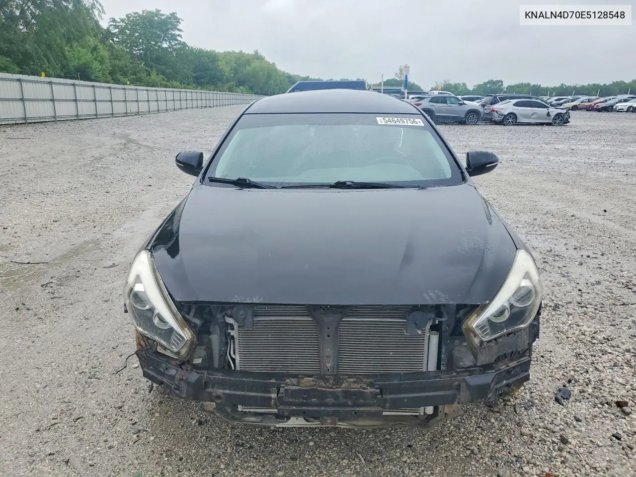 2014 Kia Cadenza Premium VIN: KNALN4D70E5128548 Lot: 54649756