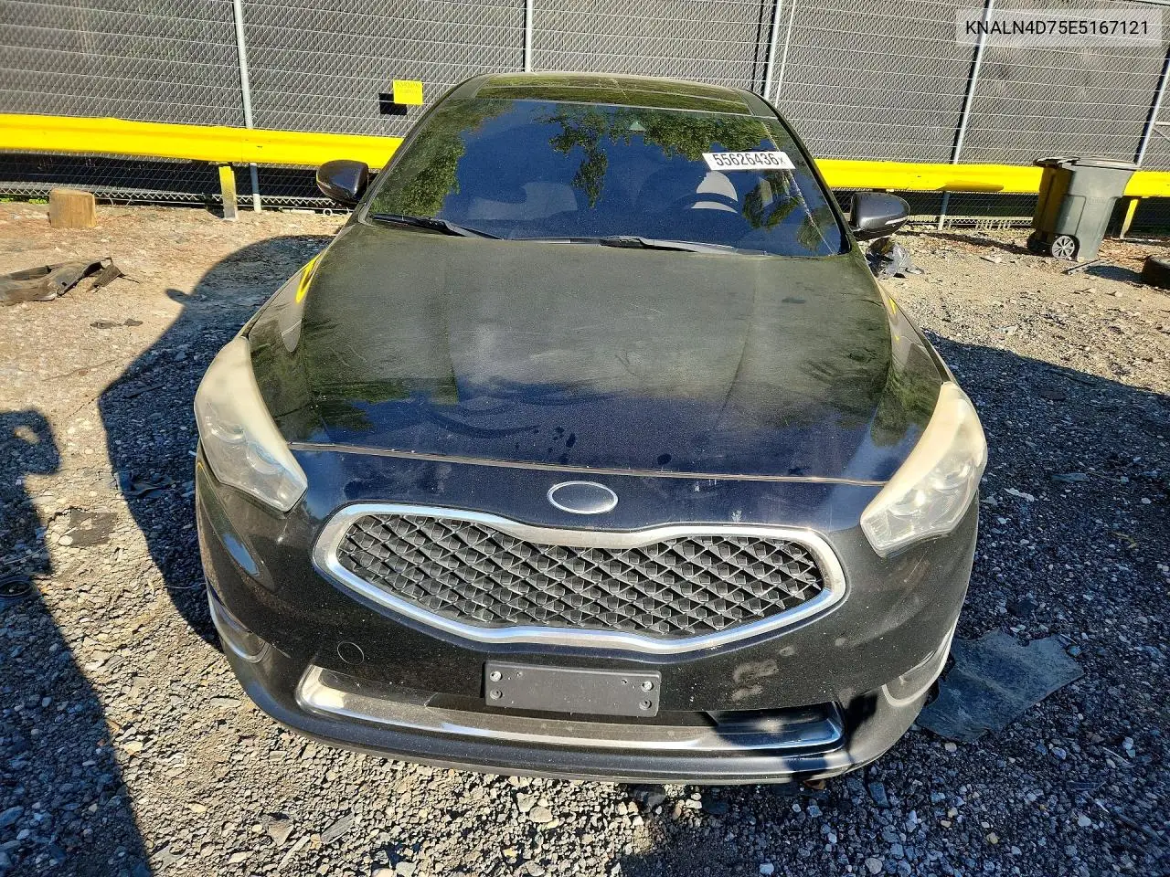 2014 Kia Cadenza Limited VIN: KNALN4D75E5167121 Lot: 55626436