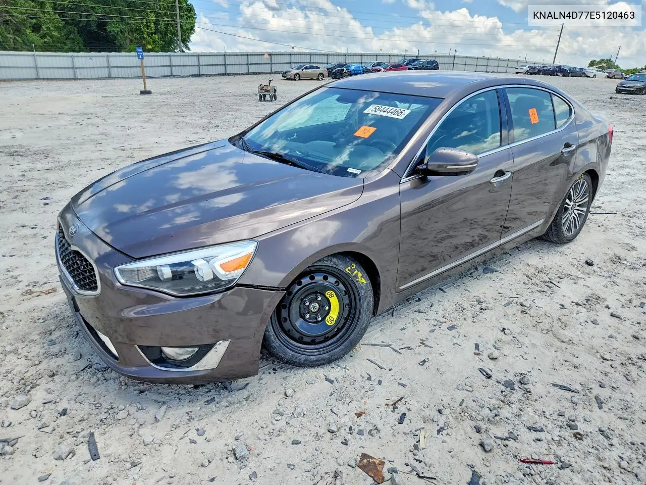 2014 Kia Cadenza Premium VIN: KNALN4D77E5120463 Lot: 58444466