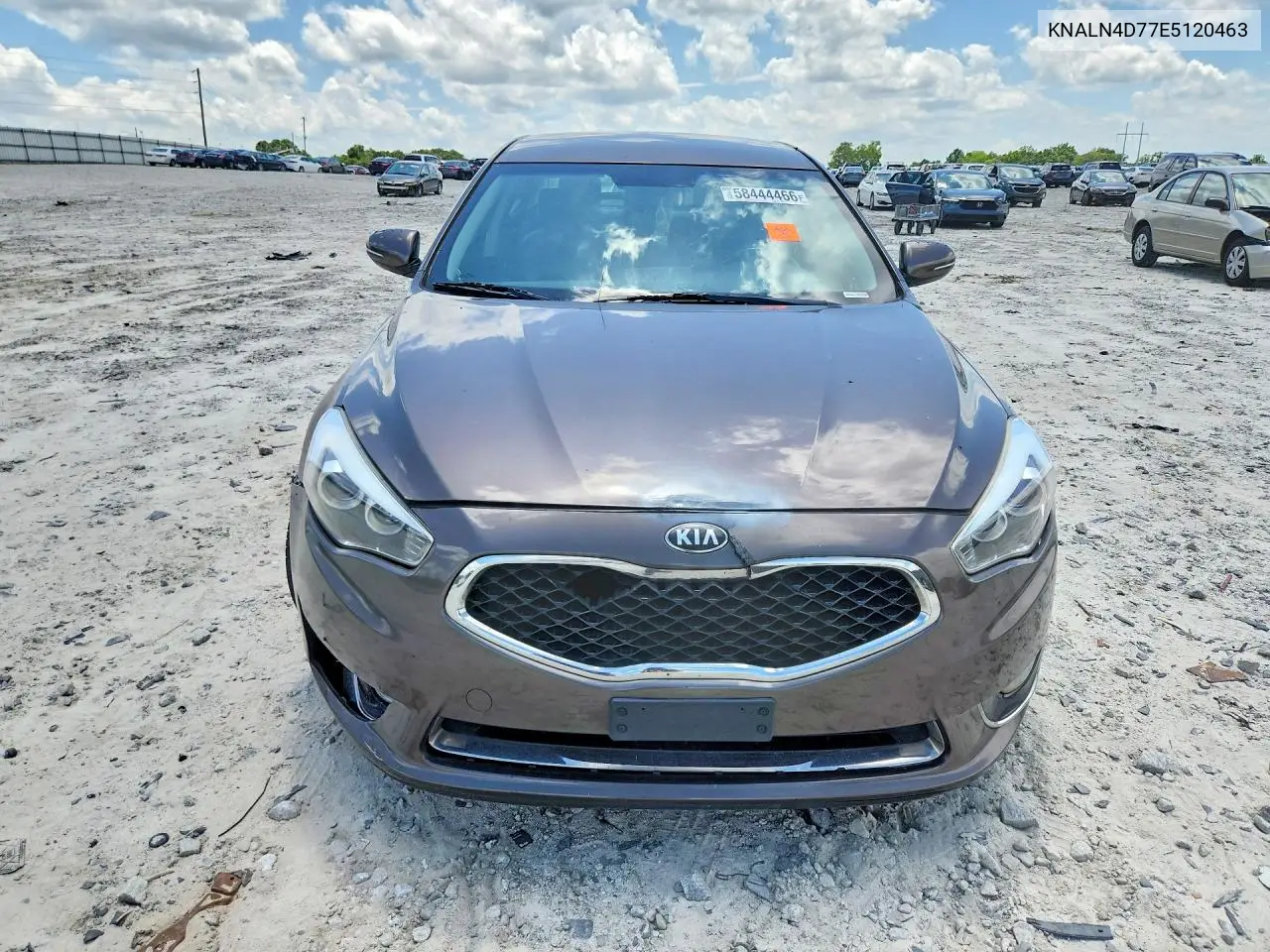 2014 Kia Cadenza Premium VIN: KNALN4D77E5120463 Lot: 58444466