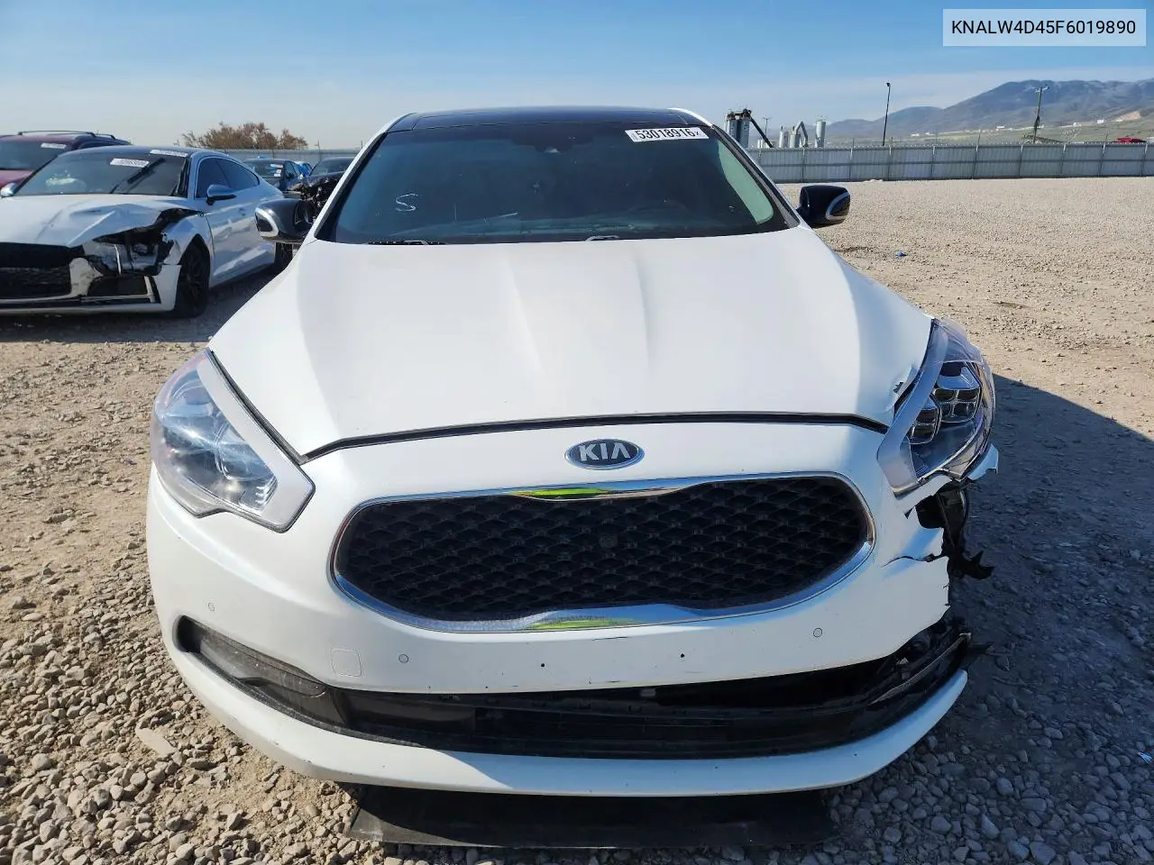 2015 Kia K900 Luxury VIN: KNALW4D45F6019890 Lot: 53018916