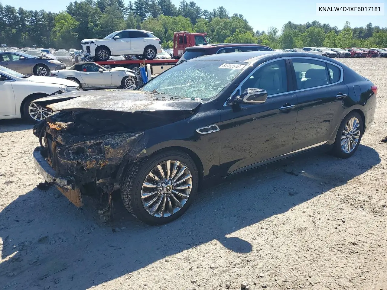 2015 Kia K900 Luxury VIN: KNALW4D4XF6017181 Lot: 54952546