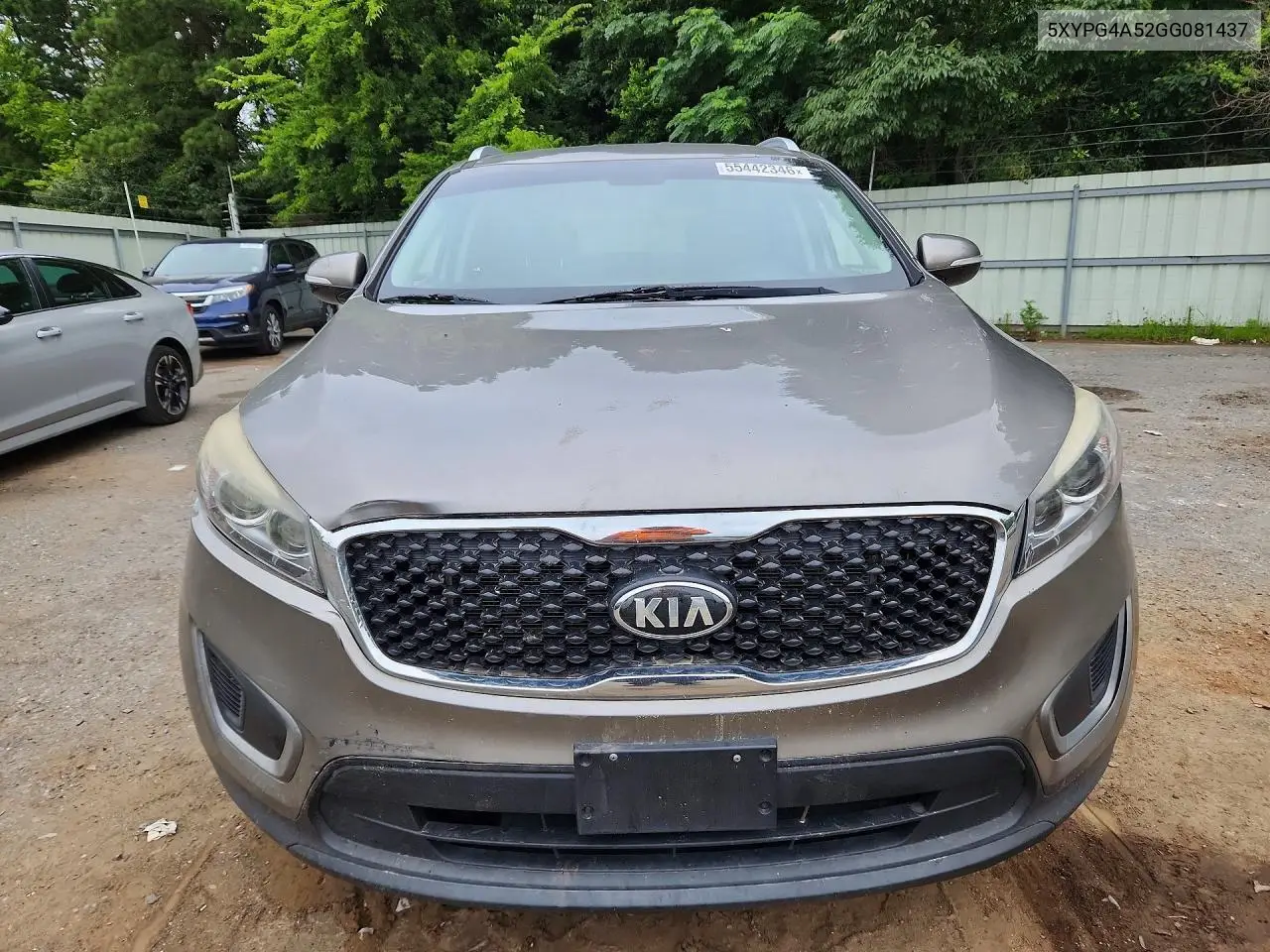2016 Kia Sorento Lx V6 VIN: 5XYPG4A52GG081437 Lot: 55442346