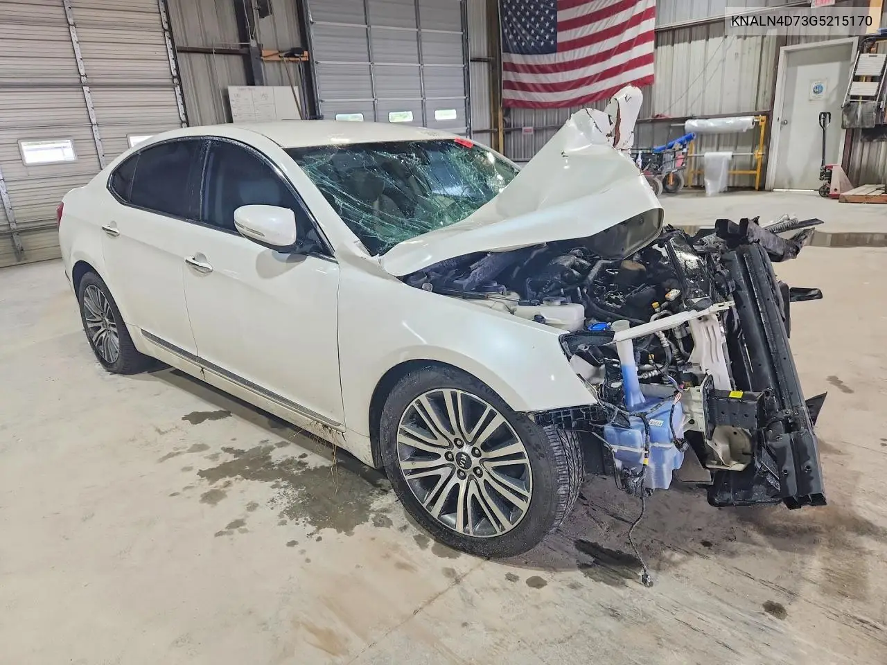 2016 Kia Cadenza Luxury VIN: KNALN4D73G5215170 Lot: 58098776